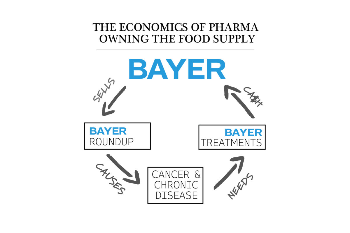 Bayer Economics Roundup Autoimmunity Monsanto