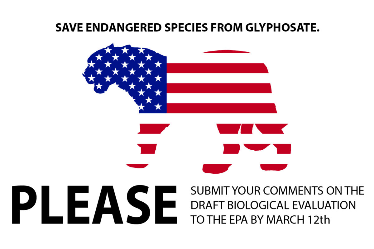 Glyphosate hurts Endangered Species EPA Evaluation