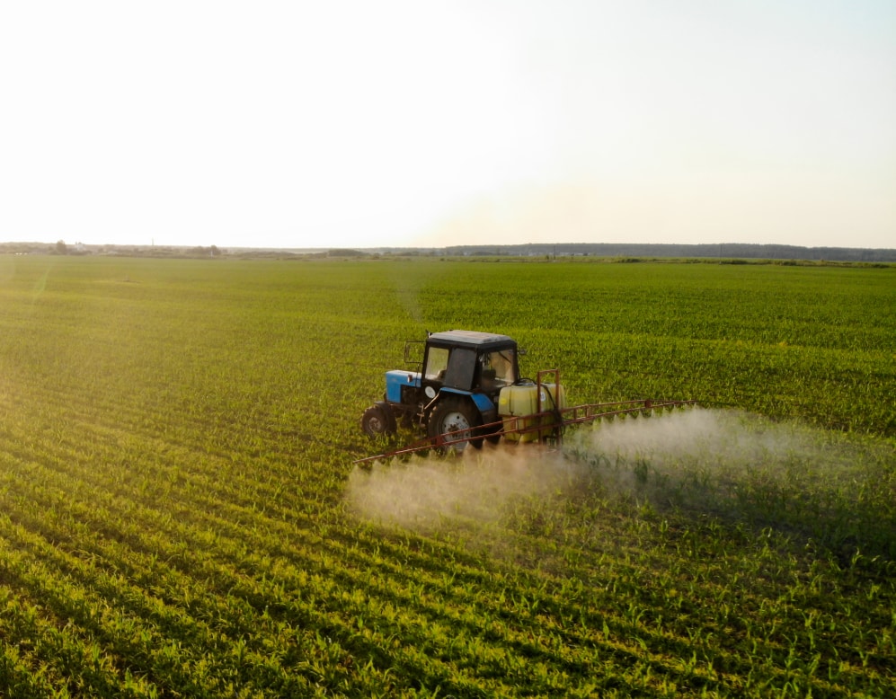 tractor-sprays-pesticides-corn-fields-sunset 1